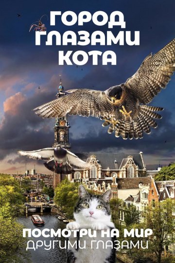 Город глазами кота онлайн